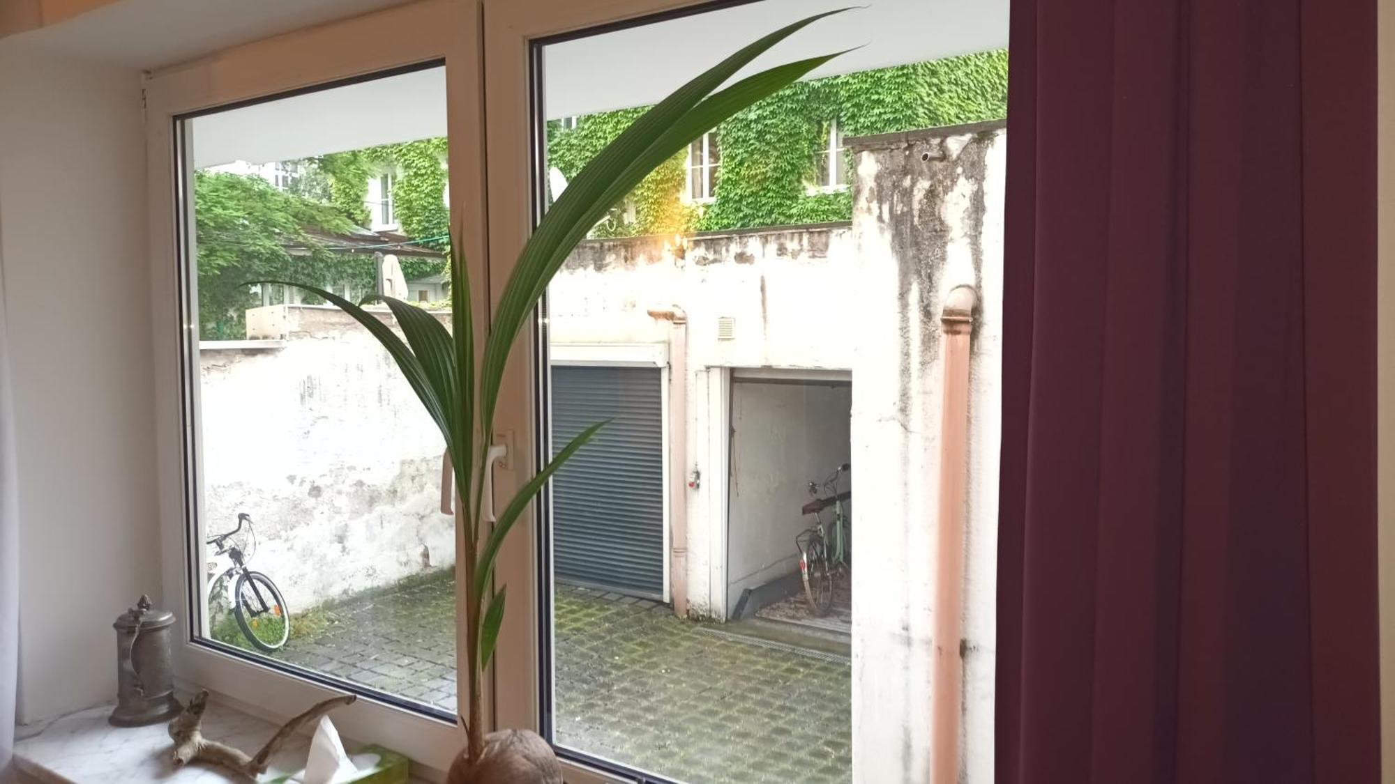 Stilvolles Appartement Im Zentralen Schwabing - Innenstadt 뮌헨 외부 사진